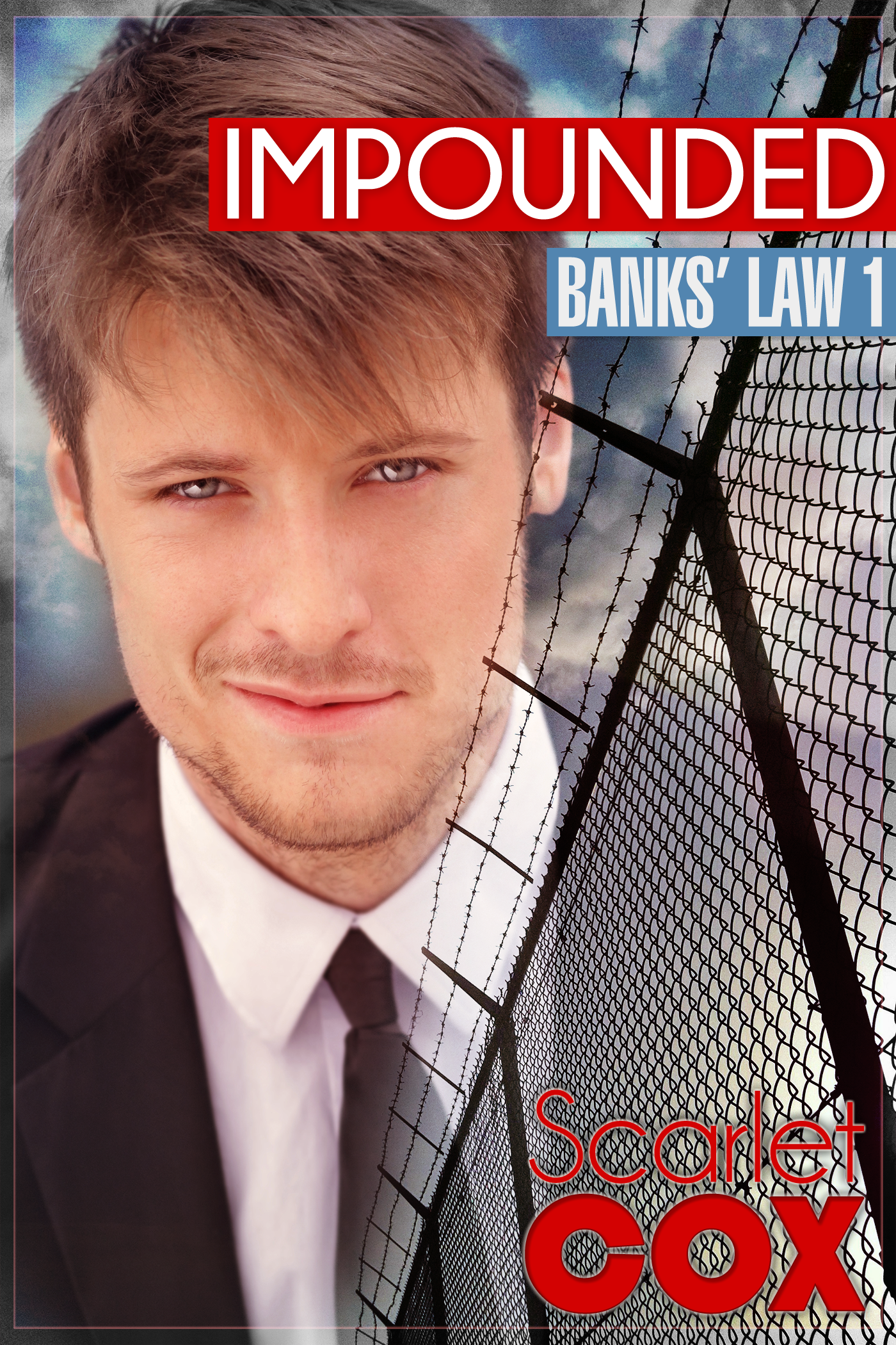 Banks' Law 1